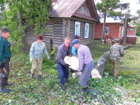 17:17 Коллектив Мариинско–Посадского лесничества оказал помощь в ликвидации последствий урагана